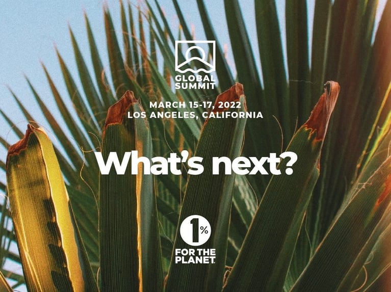 Global Summit 2022: What's Next?
