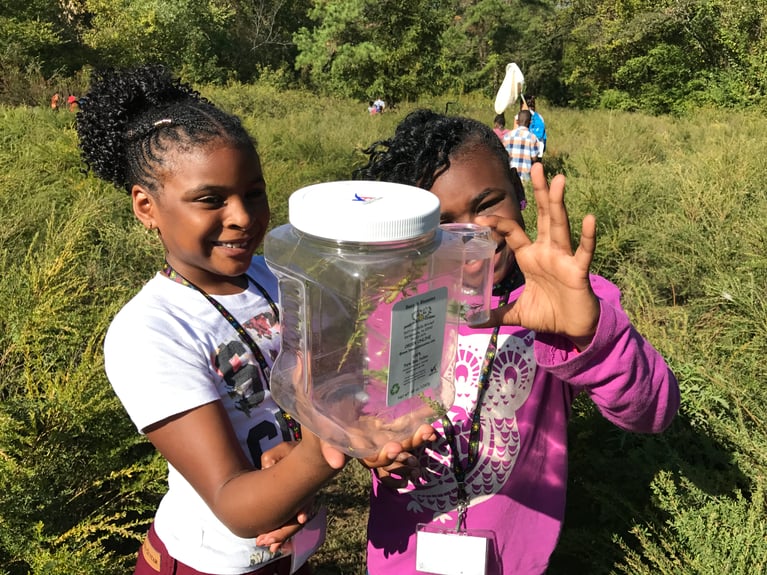 Nonprofits using STEM to Find Climate Solutions
