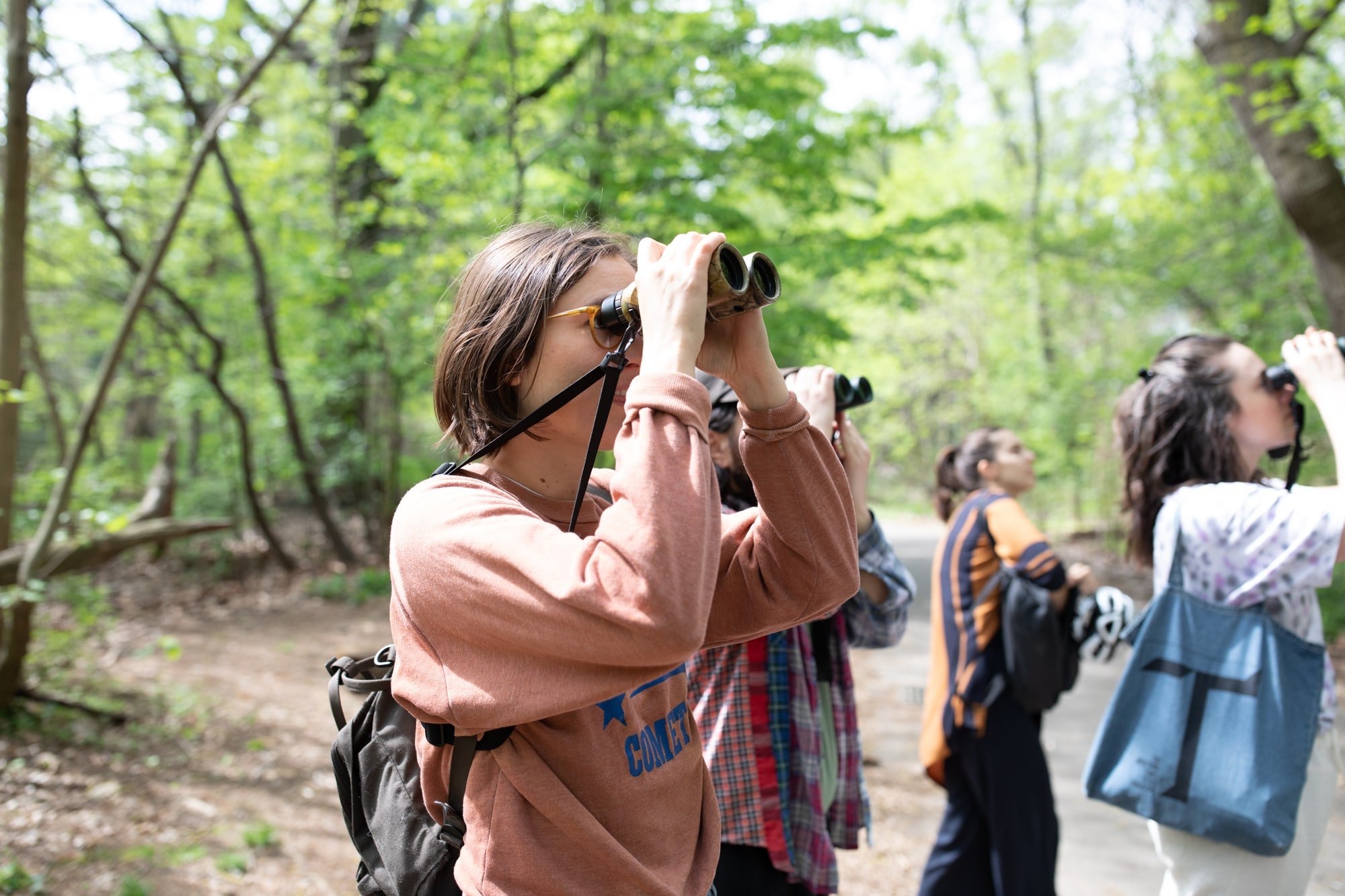 Feminist Bird Club—blog image