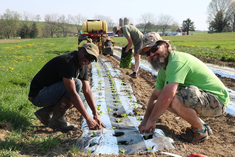 11 nonprofits shaping the future of farming