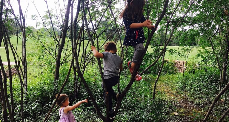 10 need-to-know nonprofits connecting you with nature