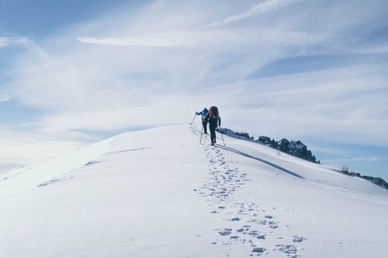 Welcome New Members! (January 2020)