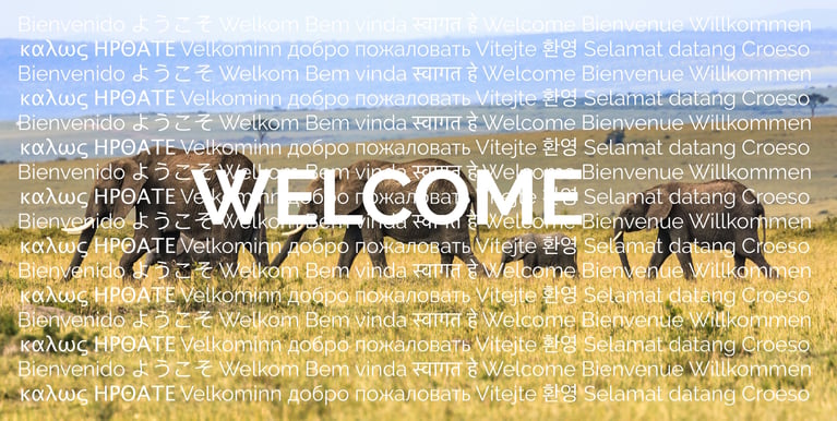 Welcome New Members! (February - April 2019)