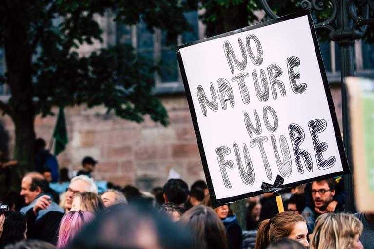 1% for the Planet network shows up big at the Global Climate Strike