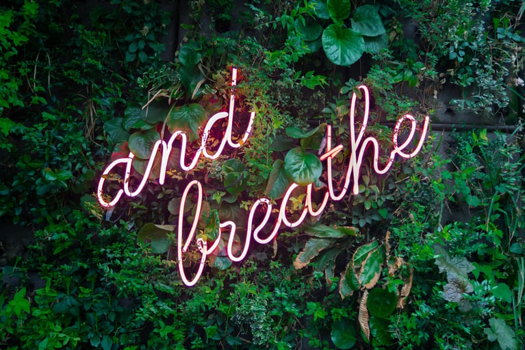 Network Auction: self care products that you and the planet need.