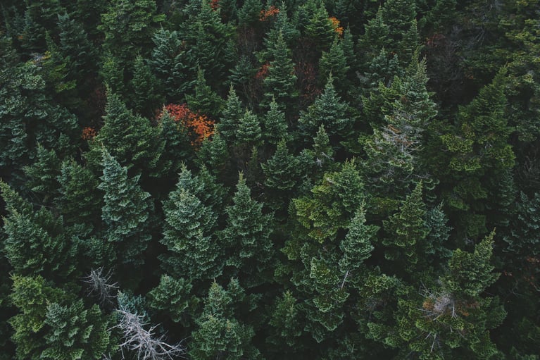 1% for the Planet businesses let you shop for the planet on Black Friday
