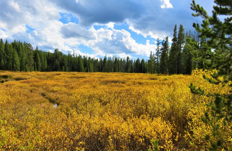 12 nonprofits working for our lands