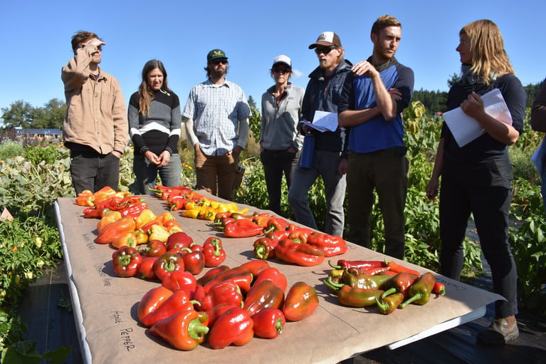 16 nonprofits fueling climate solutions with food