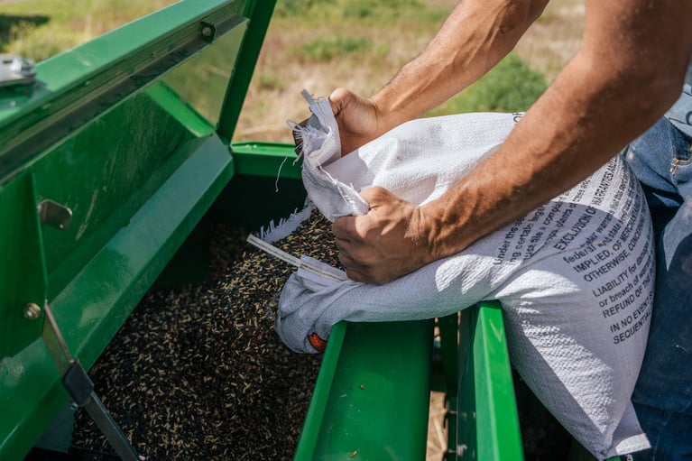 Mad Agriculture and the grain revival movement