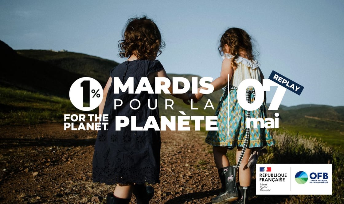 MPLP id visuelle 2023 NEWSLETTER (5)