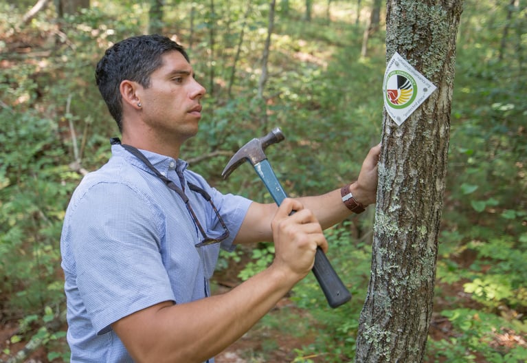 Indigenous organizations stewarding land and protecting our planet