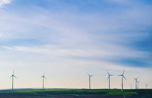 Wind turbines in a field with blue sky