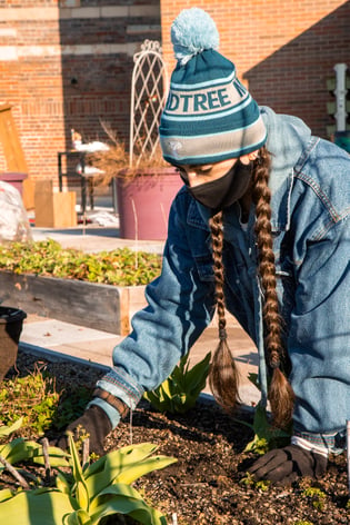 Rothenburg Rooftop Garden - Volunteering - MadTree Brewing Co. (30 of 62)