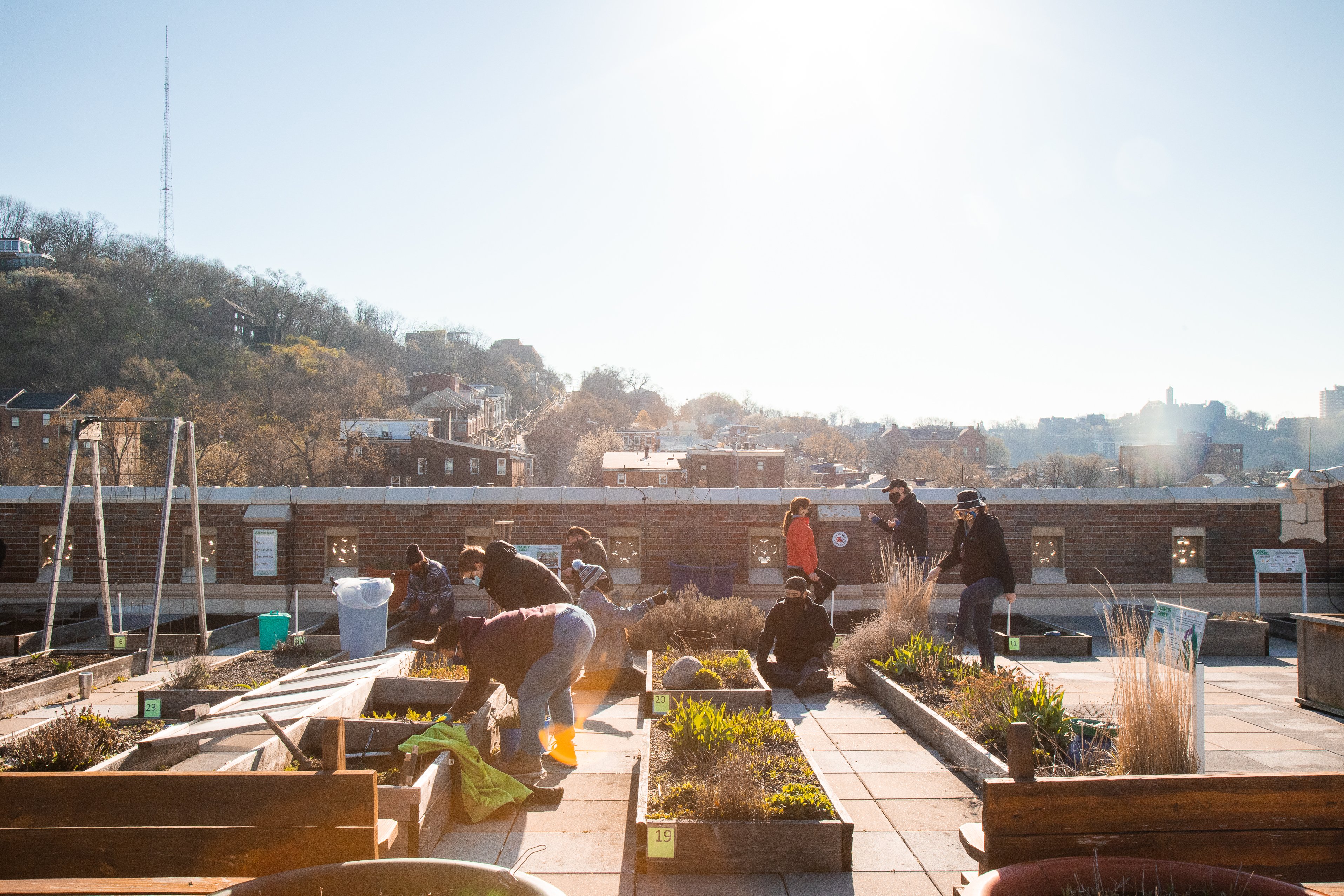 Rothenburg Rooftop Garden - Volunteering - MadTree Brewing Co. (47 of 62)