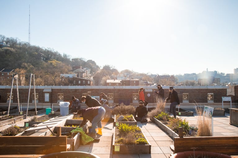 Partnership Spotlight: MadTree Brewing & Rothenberg Rooftop Garden