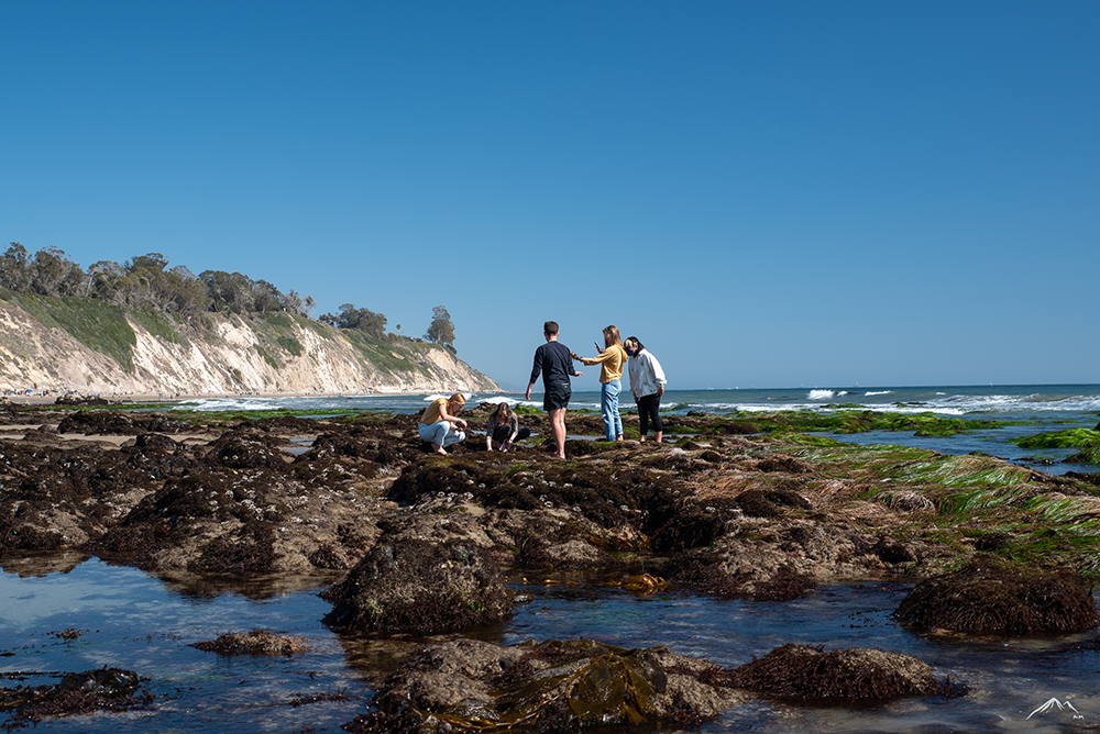 Sway Team_SB 2021_2