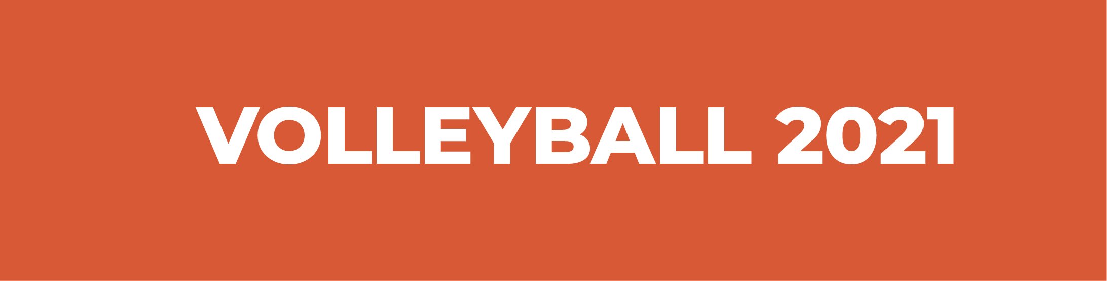 Volleyball Banner