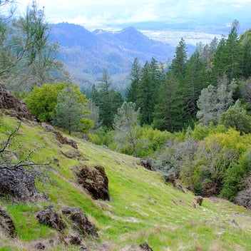 Wildlake_MikeBiterCreekCanyon_web