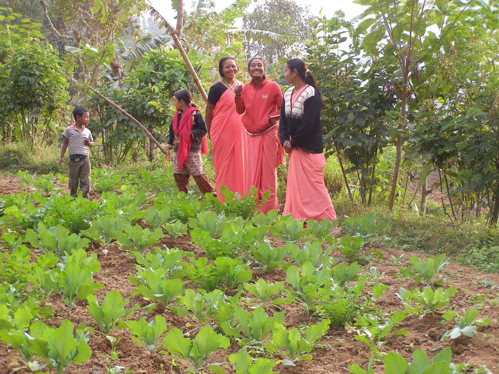 Womens group on farm