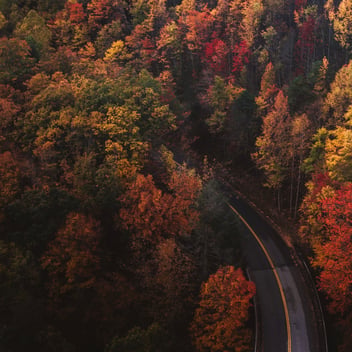 chad-madden-cPa-7yByq3o-unsplash