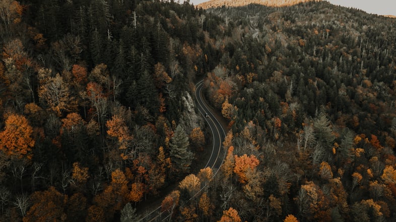 clay-banks-e8MPXjRwCvI-unsplash
