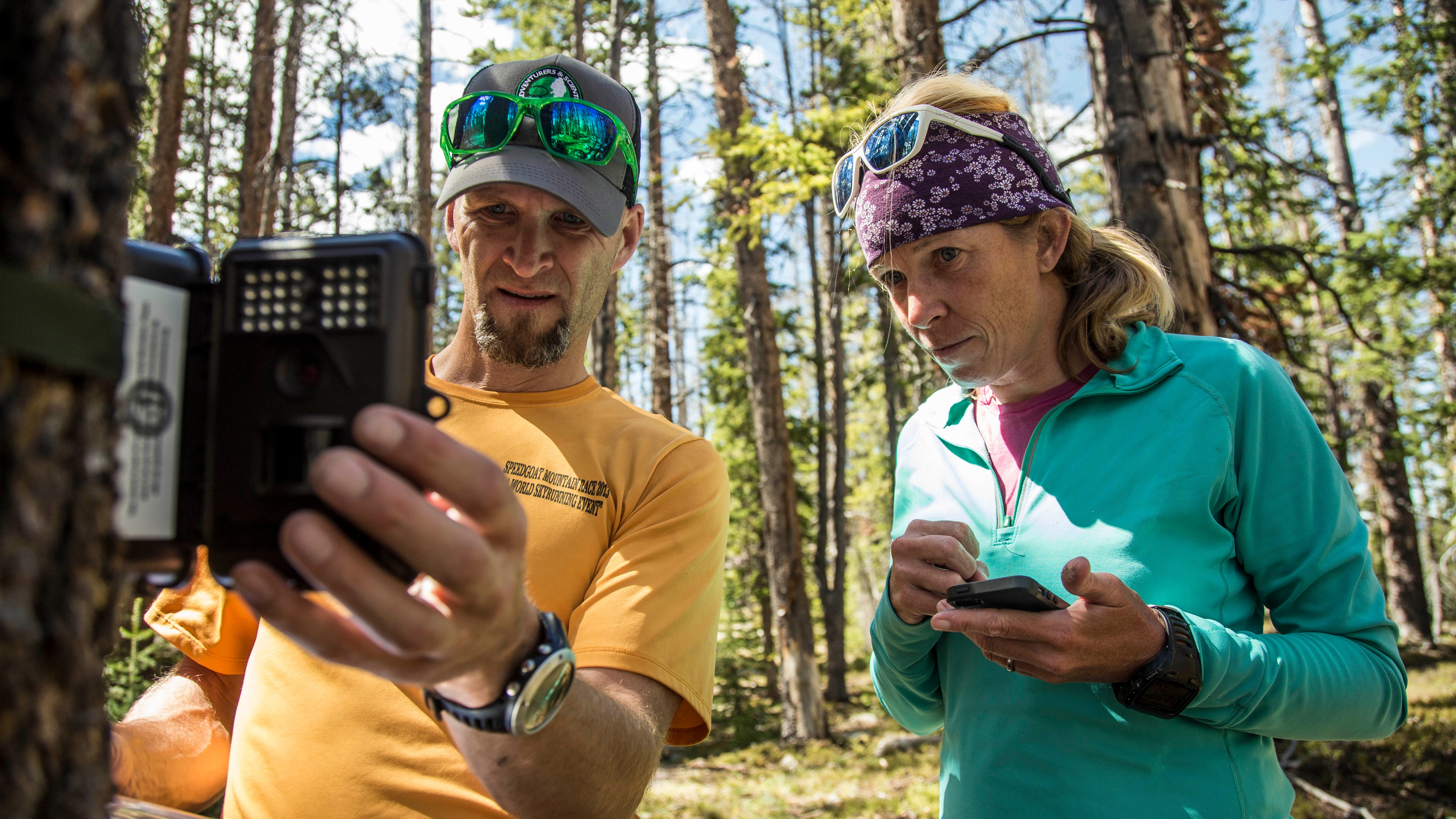 Two people analyzing data in the forest.