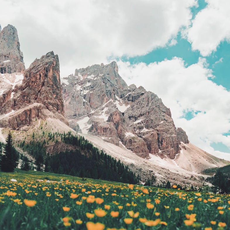 damiano-baschiera-d4feocYfzAM-unsplash