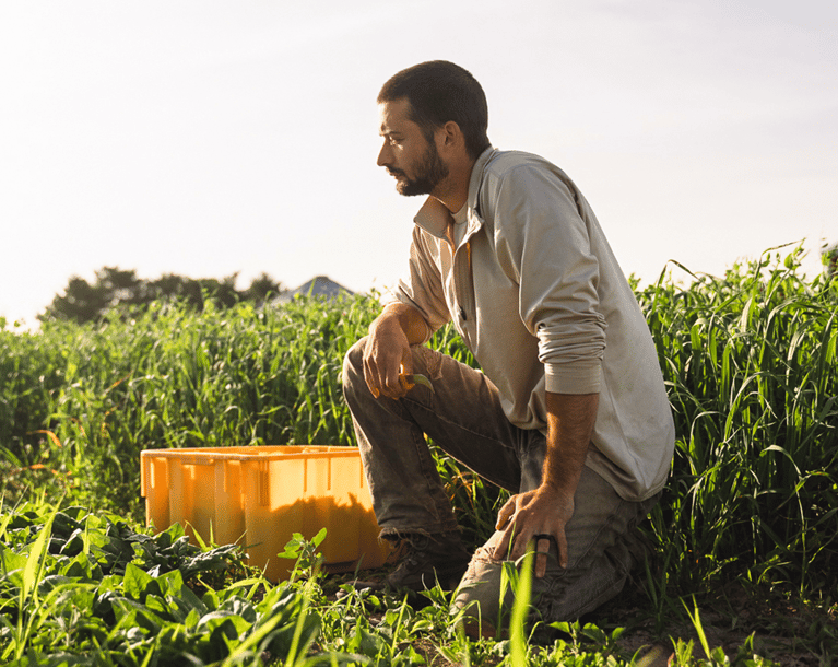 Davines: A member at the intersection of beauty & regenerative organic agriculture