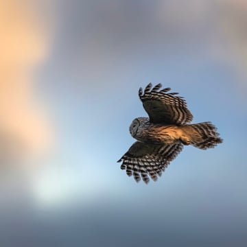 erik-karits-OJTAoea_StU-unsplash