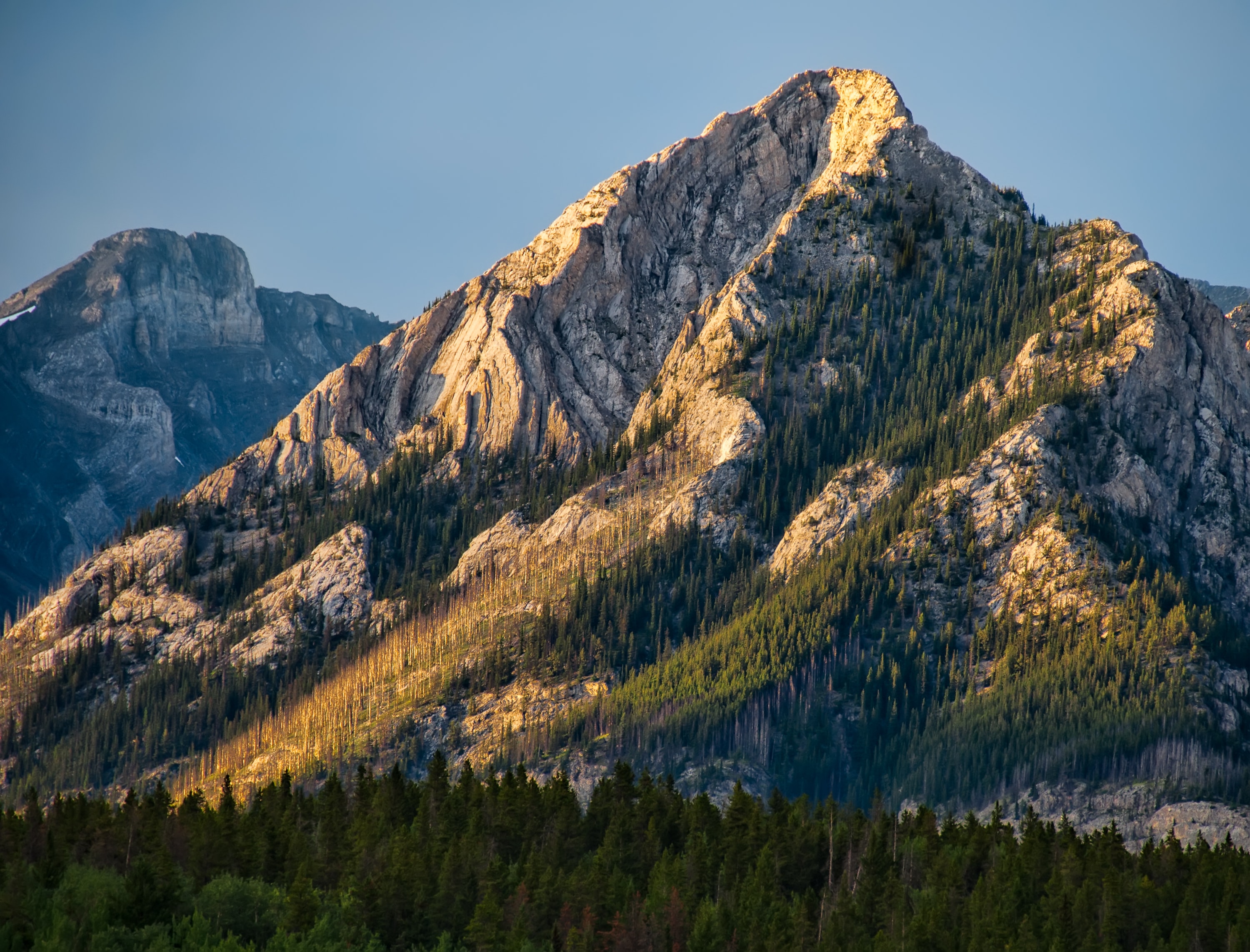 james-wheeler-IjBgUHrcuWQ-unsplash (1)