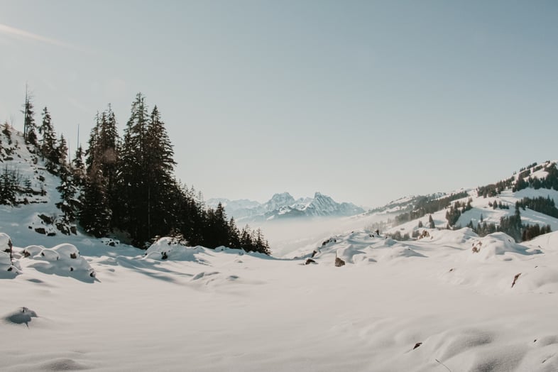 leandra-niederhauser-NRkJqqeXG1Y-unsplash