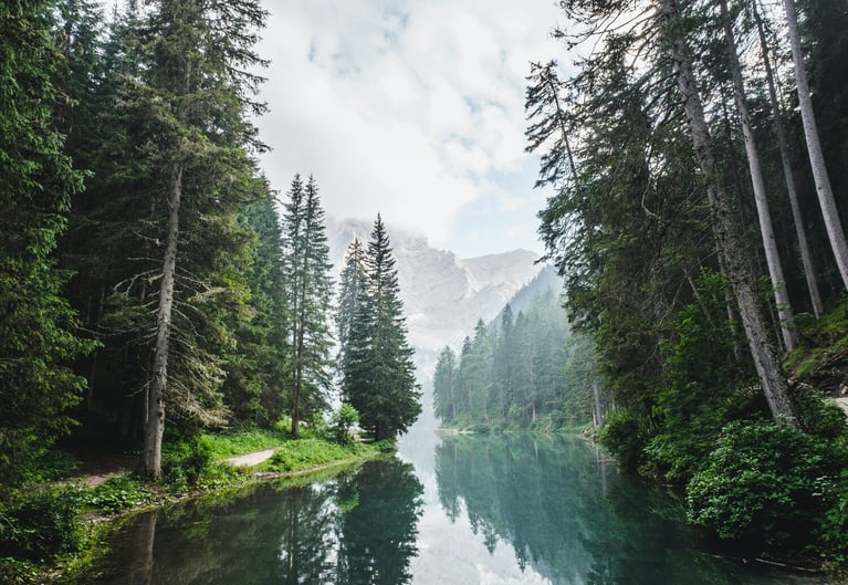 Best Network Collaboration of 2019: Raw Office + Carbon Credit Capital + Bonneville Environmental Foundation