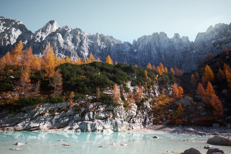 luca-bravo-ii5JY_46xH0-unsplash