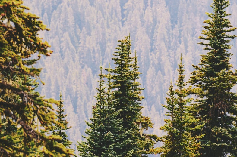 m-h-3tBfSX3amQo-unsplash
