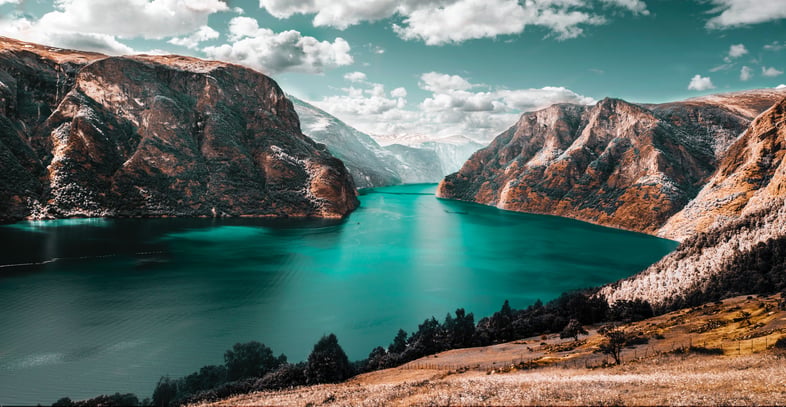 mar-bustos-ARVFsI-32Uk-unsplash