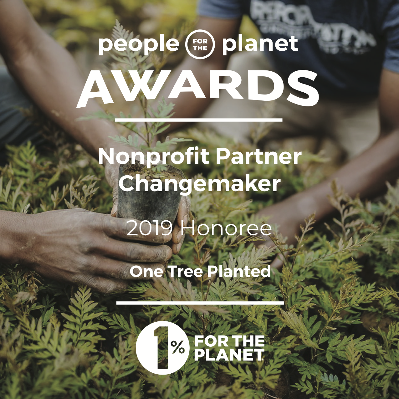 p4paward_nonprofitchange-pic