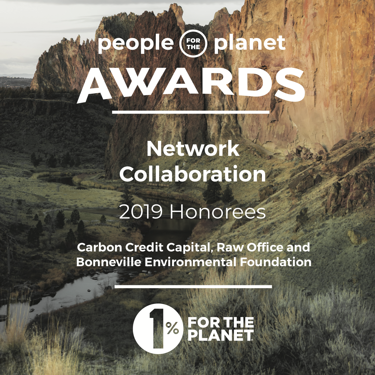 p4pawards_networkcollab-pic