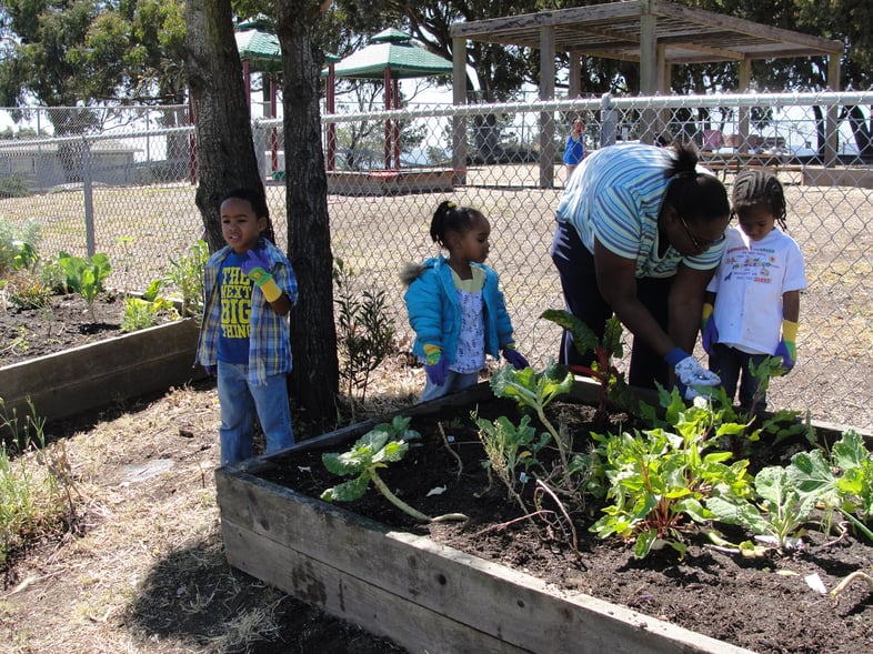 parent and mom showing seed head start