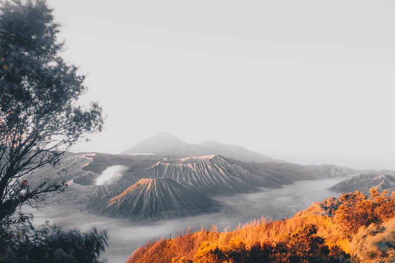 pexels-onisam-2916337