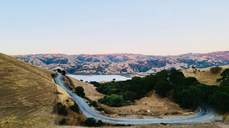 shashank-hegde-bUM6vD2yVnM-unsplash