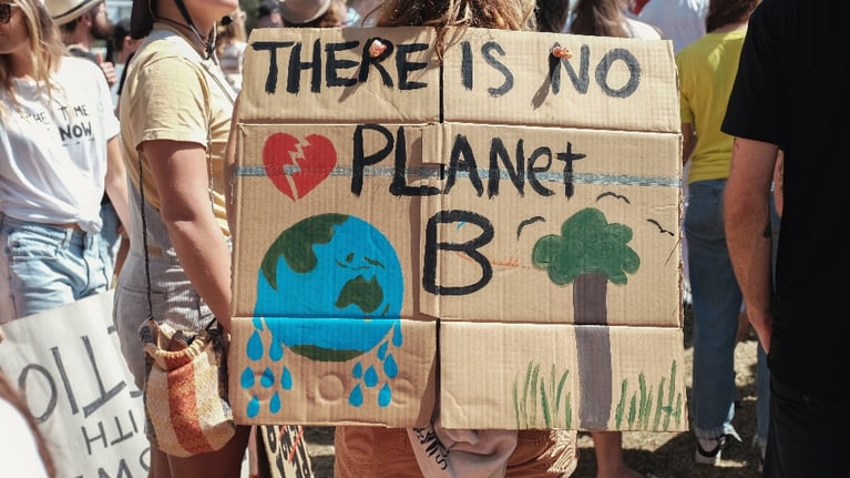 4 Environmental Causes to Support in 2021