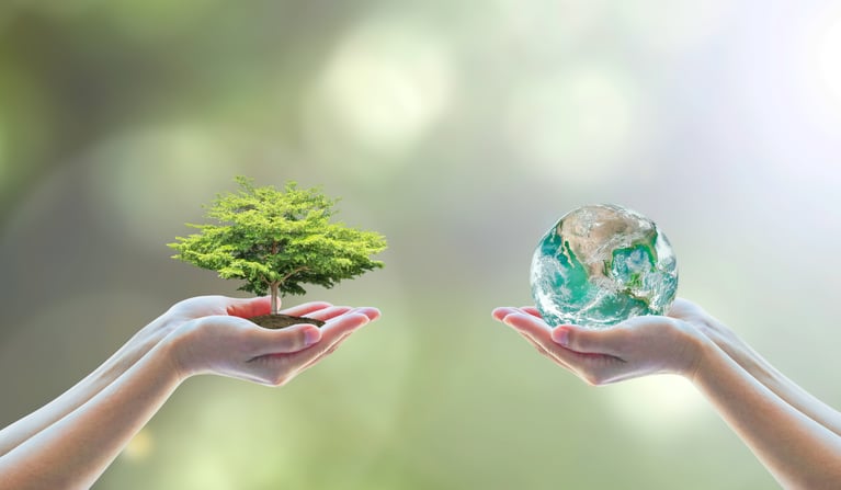 How Businesses Can Take Climate Action with Corporate Philanthropy
