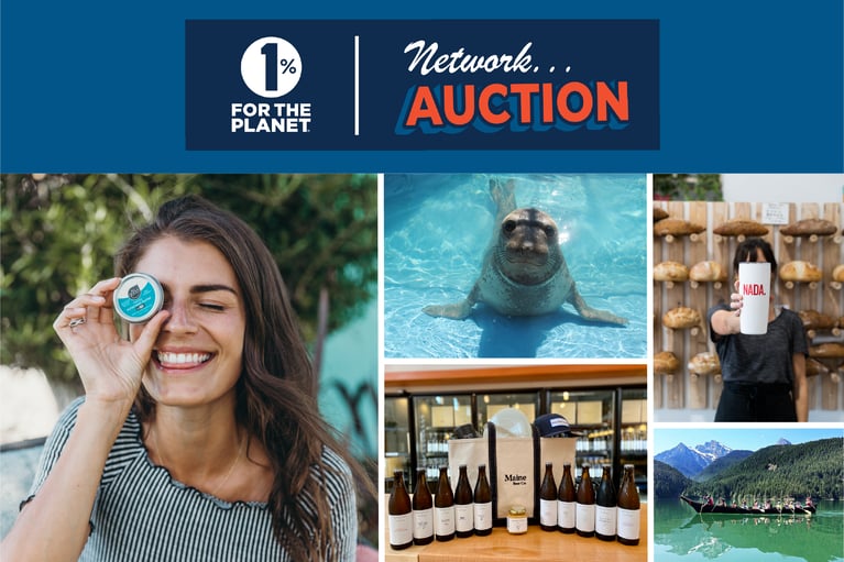 Elevate your business with B2B services from our 2020 Network Auction