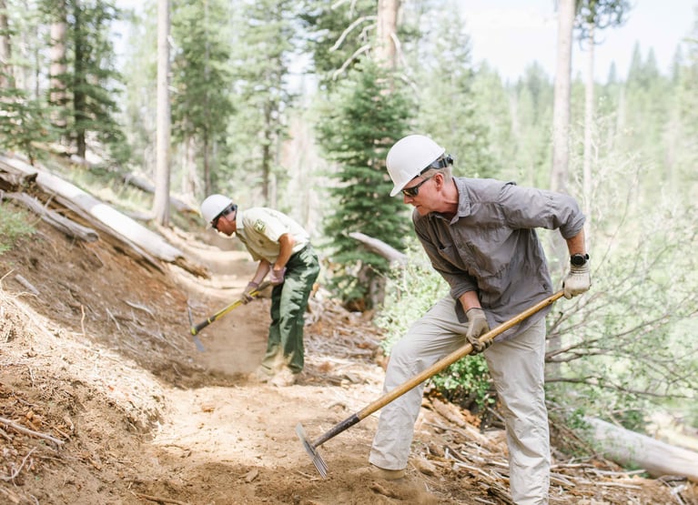 Are you a buyer, a builder or a regenerator?