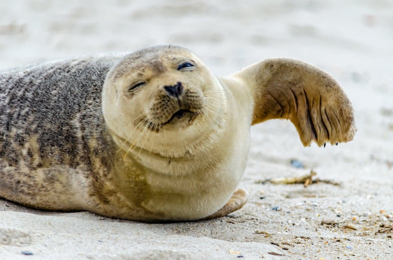 steve-adams-iy7F3hufI4M-unsplash