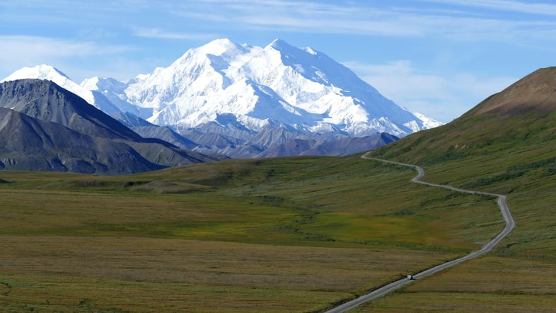 tundra