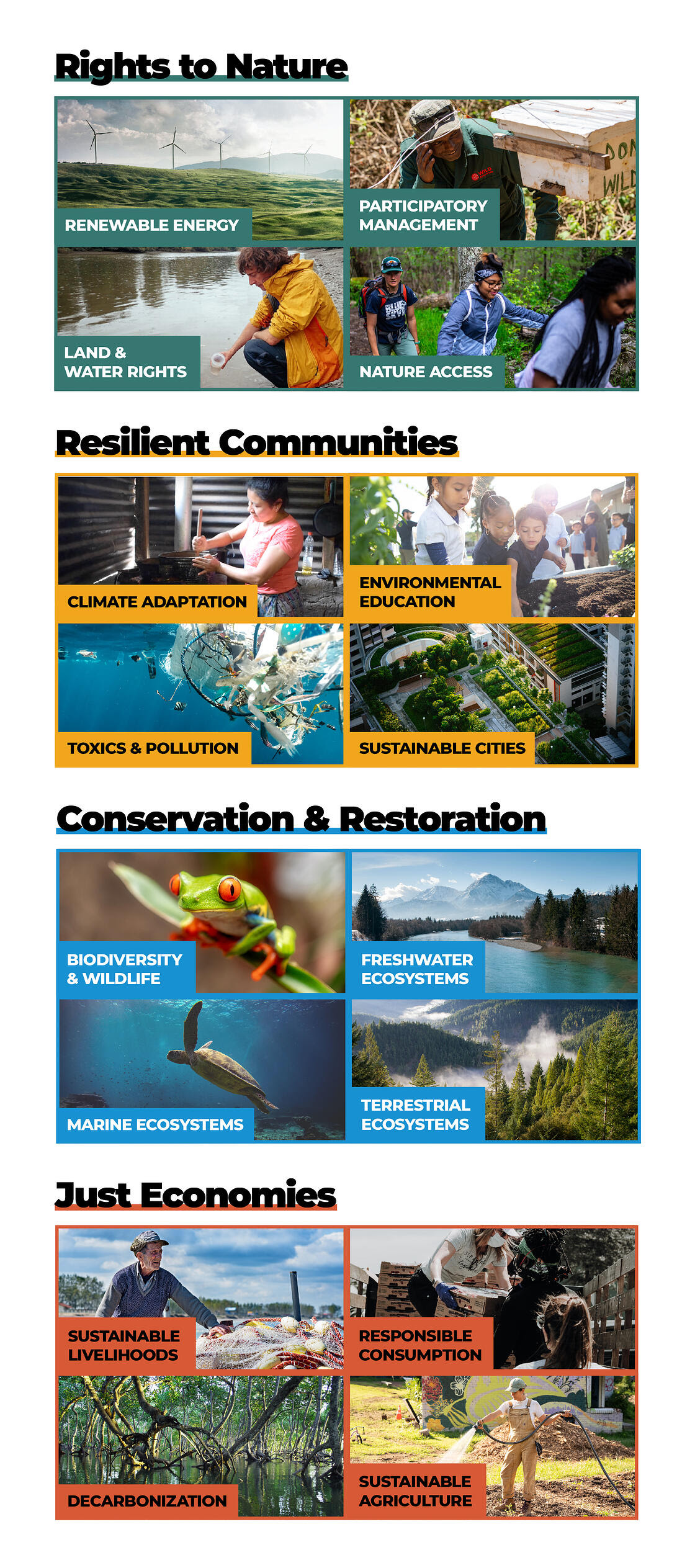 Image representations of the 4 Impact Areas:  Rights to Nature; Conservation & Restoration; Resilient Communities; and Just Economies. Rights to nature includes renewable energy, participatory management, land and water rights and nature access.  Resilient Communities includes Climate Adaptation, Environmental Education, Toxics and Pollution, and Sustainable Cities.  Conservation and Restoration includes biodiversity and wildlife, freshwater ecosystems, marine ecosystems, and terretorial ecosystems. Just Economies includes Sustainable Livelihods, Responsible consumption, Decarbonization, and Sustainable Agriculture.